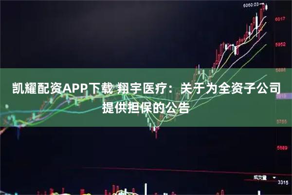 凯耀配资APP下载 翔宇医疗：关于为全资子公司提供担保的公告