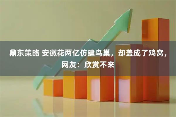 鼎东策略 安徽花两亿仿建鸟巢，却盖成了鸡窝，网友：欣赏不来