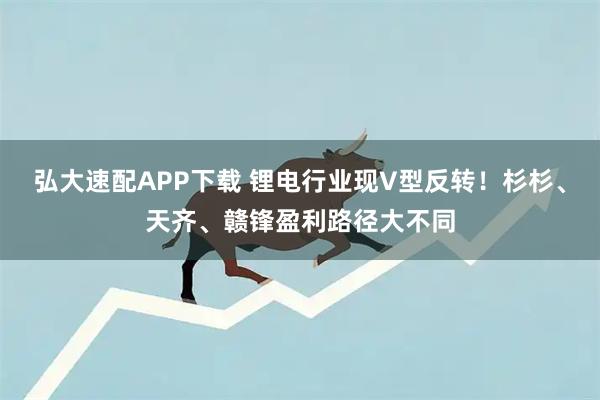 弘大速配APP下载 锂电行业现V型反转！杉杉、天齐、赣锋盈利路径大不同